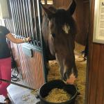 2019_OTRA_0607 (September 01, 2019)